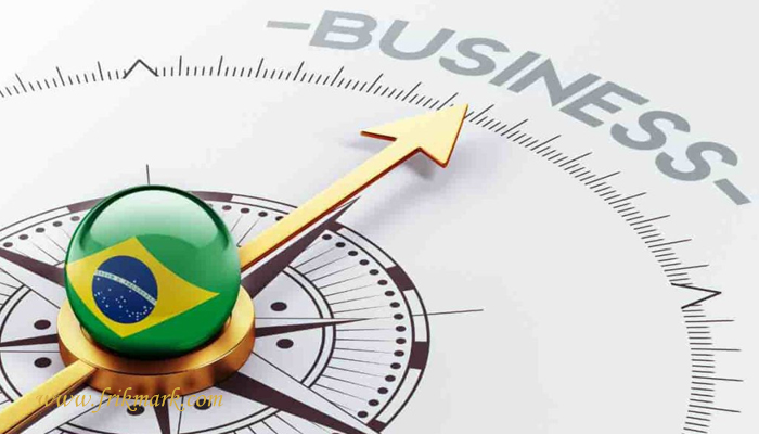 Requirements for obtaining a Brazilian business card - frikmark